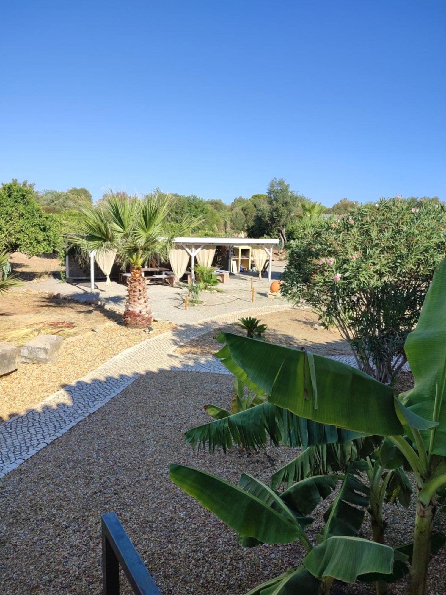 Quinta Pereiro Tropic Garden, Algarve Bed and Breakfast Moncarapacho Exterior foto
